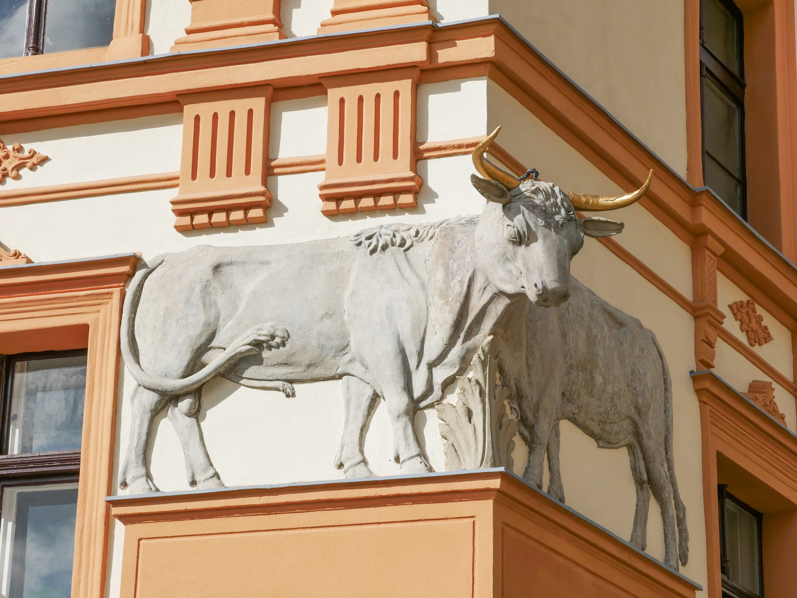 Zdjęcie detalu Kamienicy pod Bykami na ulicy Długiej w Świdnicy.